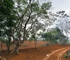 CƠ HỘI ĐẦU TƯ SINH LỜI, BÁN LÔ ĐẤT TẠI CAO PHONG, HÒA BÌNH.