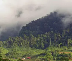 CƠ HỘI ĐẦU TƯ SINH LỜI, BÁN LÔ ĐẤT TẠI CAO PHONG, HÒA BÌNH.