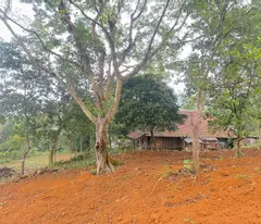 CƠ HỘI ĐẦU TƯ SINH LỜI, BÁN LÔ ĐẤT TẠI CAO PHONG, HÒA BÌNH.