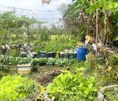 CẦN BÁN 250M2 ĐẤT THỔ CƯ HẺM BA GÁC GẦN QL1A