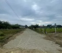 CHỦ CẦN ĐỂ LẠI LÔ ĐẤT ĐẸP NỞ HẬU XÃ DIÊN BÌNH - DIÊN KHÁCH THỔ CƯ 100%