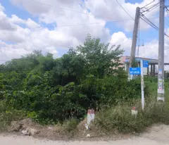 BÁN ĐẤT NÔNG NGHIỆP – ĐƯỜNG BỜ CHÙA, XÃ PHƯỚC LÝ, HUYỆN CẦN GIUỘC, LONG AN
