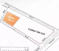 GẤP BÁN 3 MẶT TIỀN TỈNH LỘ 2 – GẦN 6.000m² – SÁT CAO TỐC & VÀNH ĐAI – CHỈ 50 TỶ!