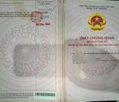 ĐẤT VỊ TRÍ ĐẸP  - GIÁ TỐT Cần bán nhanh lô đất tiềm năng tại Xã An Tây Bến Cát, Bình Dương