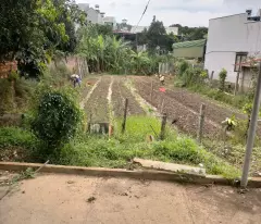 Bán nhà vườn 457m2 Phi nôm - hiệp thạnh - Đức Trọng - Lâm Đồng 2,6 tỷ