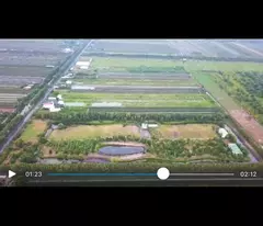 Bán Gáp 10.3ha Đất Thổ Cư Mặt Tiền -Xã Thạnh Tân, Tân Phước, Tiền Giang  Chỉ 230 Tỷ