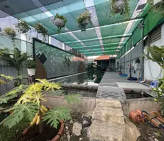 BÁN ĐẤT LỚN GIÁ RẺ – NGUYỄN VĂN QUÁ, ĐÔNG HƯNG THUẬN, Q.12
