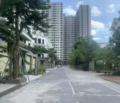 bán đất phân lô khu 31Ha Trâu Quỳ, 250m, mặt tiền 12.5m, đường nhựa, vỉa hè, ôtô dừng đỗ