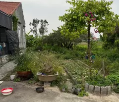1.x Tỷ Lô Đất 78m2 View Ao Thoáng Mát Tại Hòa Nghĩa - ZALO 0567 222 555