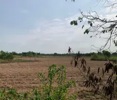 Đất Mặt Tiền - Hưng Long, Đa Phước, Bình Chánh 15000m² Chỉ  70 Tỷ,
