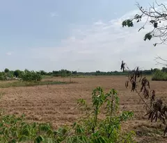 Đất Mặt Tiền - Hưng Long, Đa Phước, Bình Chánh 15000m² Chỉ  70 Tỷ,