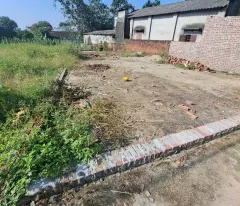 Cần tiền bán lô đất 116m² CLN tại Cẩm Lĩnh, Ba Vì, Hà Nội.
