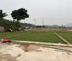 🚨 Hơn 300 triệu – sở hữu đất sát hà nội
