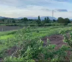 Bán 1448m2 đất thổ cư Tân Nghĩa - Hàm Tân View đẹp giá rẻ 950 triệu