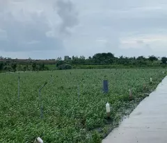 Bán gấp đất nền thổ cư Bà Lẫy Sổ sẵn công chứng ngay