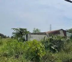 BÁN 8.000M² MẶT TIỀN TỈNH LỘ 15 – 6.000M² THỔ CƯ – GIÁ CHỈ 11TR/M²