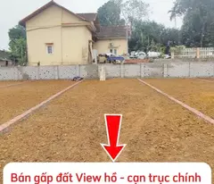 Bán gấp trong tuần lô đất sát ĐHQG Hòa Lạc vị trí vàng kinh doanh nhà trọ.