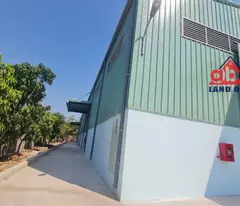 XT060 cho thuê nhà xưởng sản xuất kiên cố, thích hợp đầu tư nhiều ngành nghề.