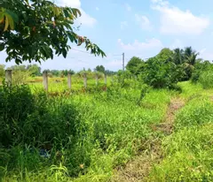 CẦN BÁN 207M2 ĐẤT THỔ CƯ MT ĐƯỜNG NGUYỄN HỮU TRÍ
