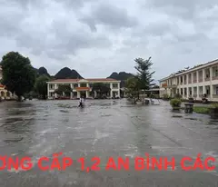🚨 2xx triệu – có ngay đất sát hà nội, thật 100%