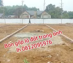 Bán rẻ mảnh đất vị trí vàng gần Hòa Lạc, xây CCMN lợi nhuận cao