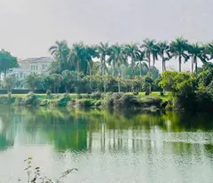 Bán rẻ mảnh đất vị trí vàng gần Hòa Lạc, xây CCMN lợi nhuận cao