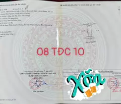 BÁN ĐẤT TĐC 10 HOA ĐỘNG – THUỶ NGUYÊN – TRUNG TÂM PHÁT TRIỂN – GIÁ 3,9X TỶ