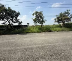 ĐẤT SKC 7.000M² – ĐƯỜNG CONTAINER – XÂY XƯỞNG NGAY TẠI HÓC MÔN