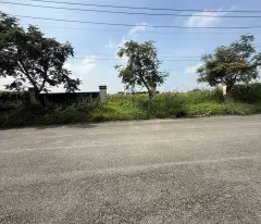 ĐẤT SKC 7.000M² – ĐƯỜNG CONTAINER – XÂY XƯỞNG NGAY TẠI HÓC MÔN