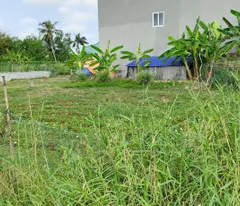 Giá tốt 1,1 tỷ (còn thương lượng) - 201m2 đất thổ cư 2 mặt tiền xã Phước Vân, Cần Đước, Long An