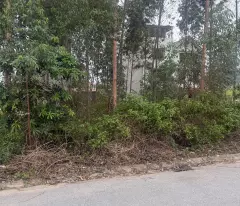 Bán đất đấu giá Xuân Phú, Yên Dũng, Bắc Giang: 90m2 - MT 5m. Đường 32m - giá 3,9 tỷ