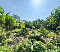 HXH- Huỳnh Thị Hai, Tân Chánh Hiệp, Q12: 1100m², 70 Tỷ, tiềm năng dòng tiền
