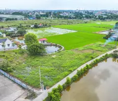 🔥 Đất Bến Lức – Long An, sổ riêng, đường ô tô, giá chỉ từ 2.3 tỷ 🔥