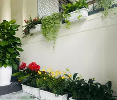 Nhà Ngọc Hội – Đường 2 Ô Tô Tránh – 74m² – Chỉ 3.25 Tỷ – Có Dòng Tiền