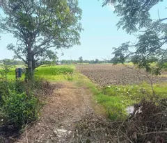 CẦN BÁN 5600M2 ĐẤT VƯỜN MT ĐƯỜNG BÔNG VĂN DĨA