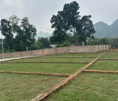 🚨 hơn 300 triệu – đất sát hà nội, ai chậm là mất lô đẹp