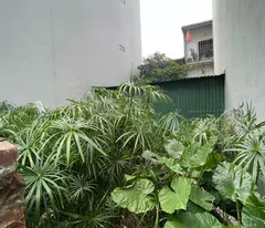 Bán đất vĩnh hưng 56M 2 mặt ngõ ô tô tránh vào đất kinh doanh hoàng mai