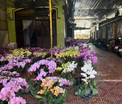 CHO THUÊ MẶT BẰNG KINH DOANH TẠI GIA LAI