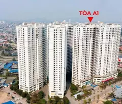 Tài chính 600–800 triệu, chọn Tecco là hợp lý nhất