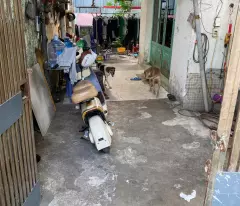 BÁN ĐẤT GẦN ĐƯỜNG ĐẶNG THÚC VỊNH – ĐÔNG THẠNH, HÓC MÔN