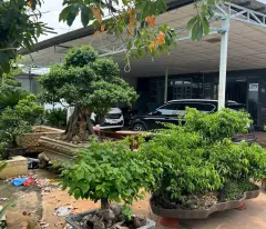SIÊU PHẨM KHO XƯỞNG 6.000M² – MẶT TIỀN HUỲNH THỊ NA – XE CONTAINER 24/7