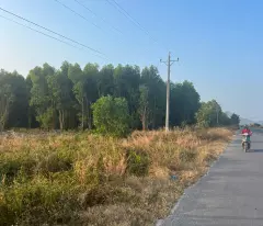 Bán 30m x 89m đất mặt tiền Lương Định Của - Tân Bình - LaGi giá rẻ 85tr/m ngang