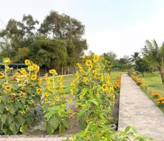 CẦN BÁN 2200M2 NHÀ VƯỜN NGHĨ DƯỠNG HẺM XE HƠI TỚI NHÀ