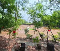 Đất view sông - Sát bên cầu Bình Khánh  .