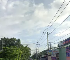 Bán đất mặt tiền 10ha giá 4 triệu/m Đường Võ Văn Bích