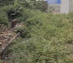 Bán đất 100,5m2 Cái Tắt An Dương Hải Phòng