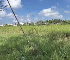 CÒN VÀI LÔ ĐẤT CẦN BÁN GIÁ TỐT