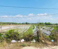 Bán 4 sào đất thổ cư Hẻm Nguyễn Thông, Tân Bình LaGi gần biển giá rẻ