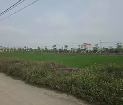 Cần chuyển nhượng lô đất cực đẹp tại khu vực Khánh Hội, Yên Khánh, Ninh Bình. Vị trí kinh doanh