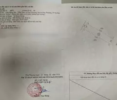 MỚI TINH 50M ĐẤT 50M NĂM ĐỒNG SẬY - ĐAN PHƯỢNG - HÀ NỘI